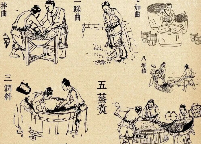 【2277期】设计素材系列||传统酿酒工艺线稿png免抠！