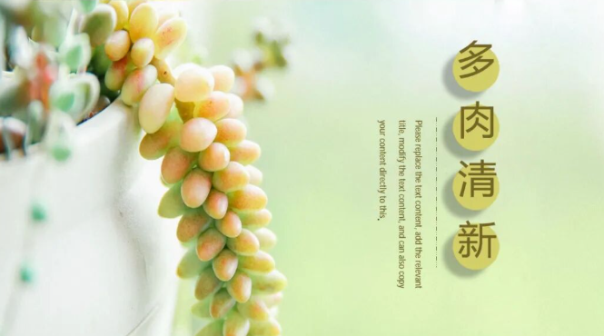 【2420期】56套清新淡雅文艺多肉植物主题PPT模板！太好看了！